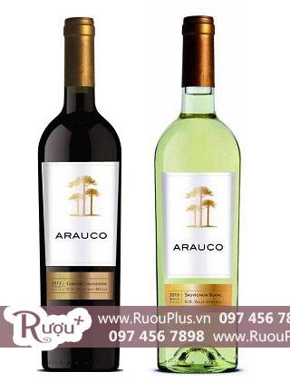 Rượu vang Arauco Sauvignon Blanc Carbernet