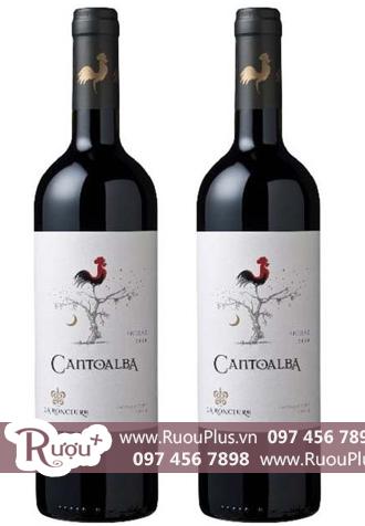 Rượu vang Chile Cantoalba Cabernet Sauvignon