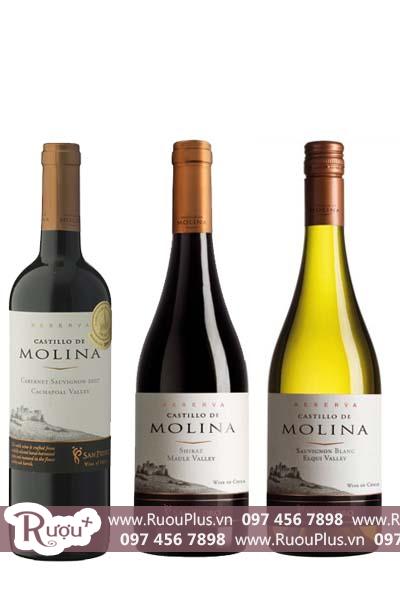 Dòng rượu vang Castillo de Molina Reserva