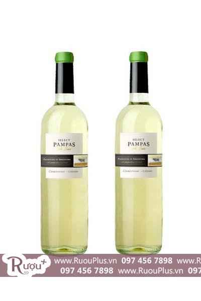 Rượu vang Argentina Pampas Del Sur Select Chardonnay-Chenin
