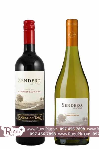 Rượu vang Chile Sendero