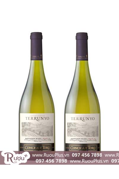 Rượu vang Chile Terrunyo Sauvignon Block 5
