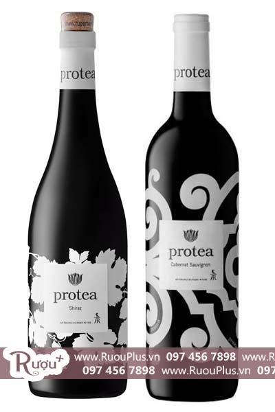 Rượu vang Nam Phi Protea