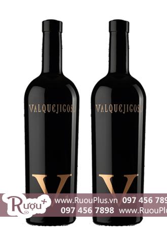 Rượu vang Vang Tây Ban Nha V1 Valpuejigoso