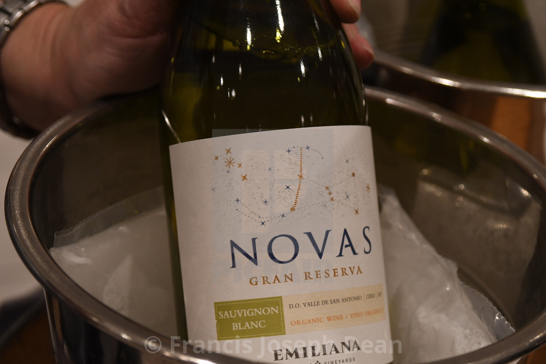 Rượu vang Chile Novas Gran Reserva Sauvignon Blanc