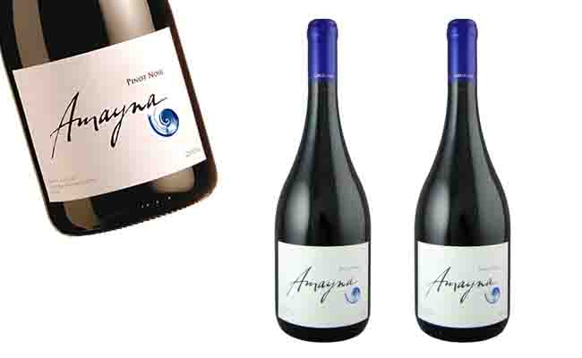Rượu vang Amayna Pinot Noir