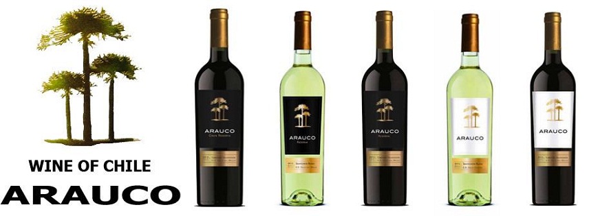 Rượu vang Chile Arauco Gran Reserva