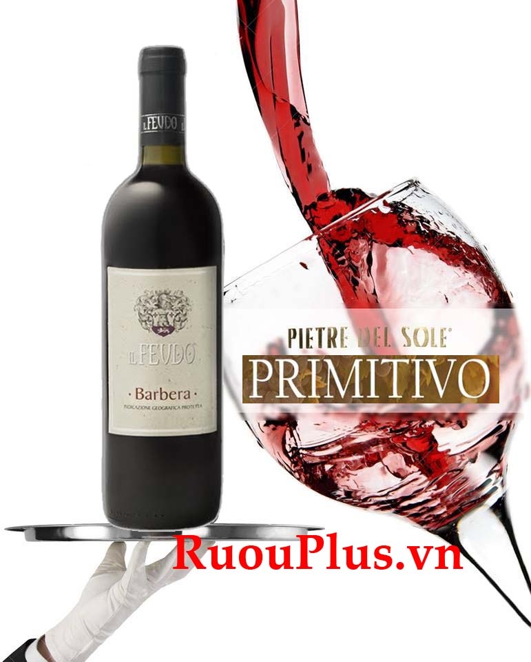 Rượu vang Il Feudo Primitivo