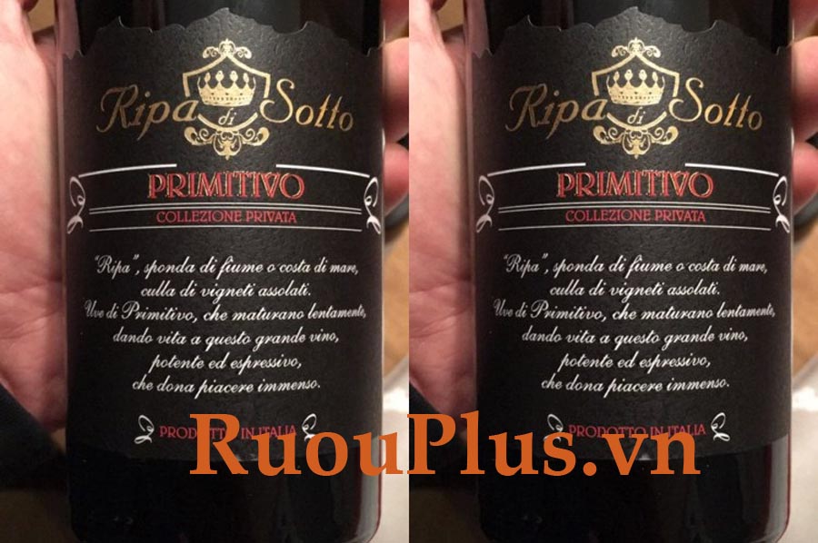 Rượu vang Ripa di Sotto Primitivo giá bán rẻ nhất