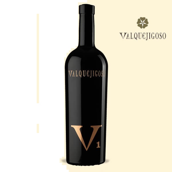 Rượu vang Tây Ban Nha V1 Valpuejigoso