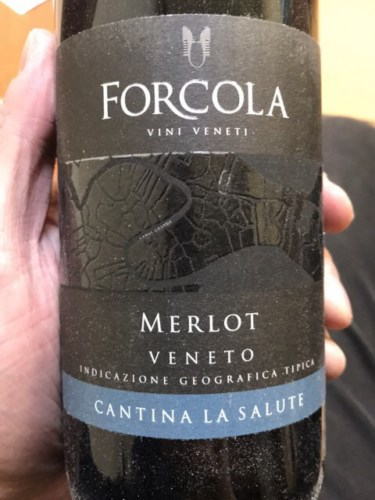 Rượu vang Ý Forcola Merlot