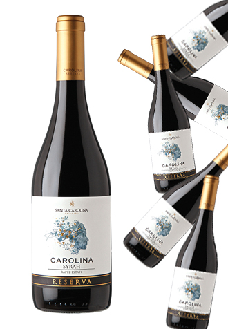 Rượu vang Chile Santa Carolina Carolina Syrah