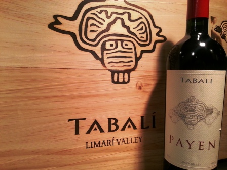 Rượu vang Chile Tabali Payen