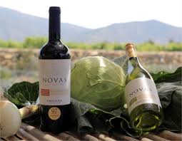Rượu vang Chile Novas Gran Reserva Cabernet Sauvignon