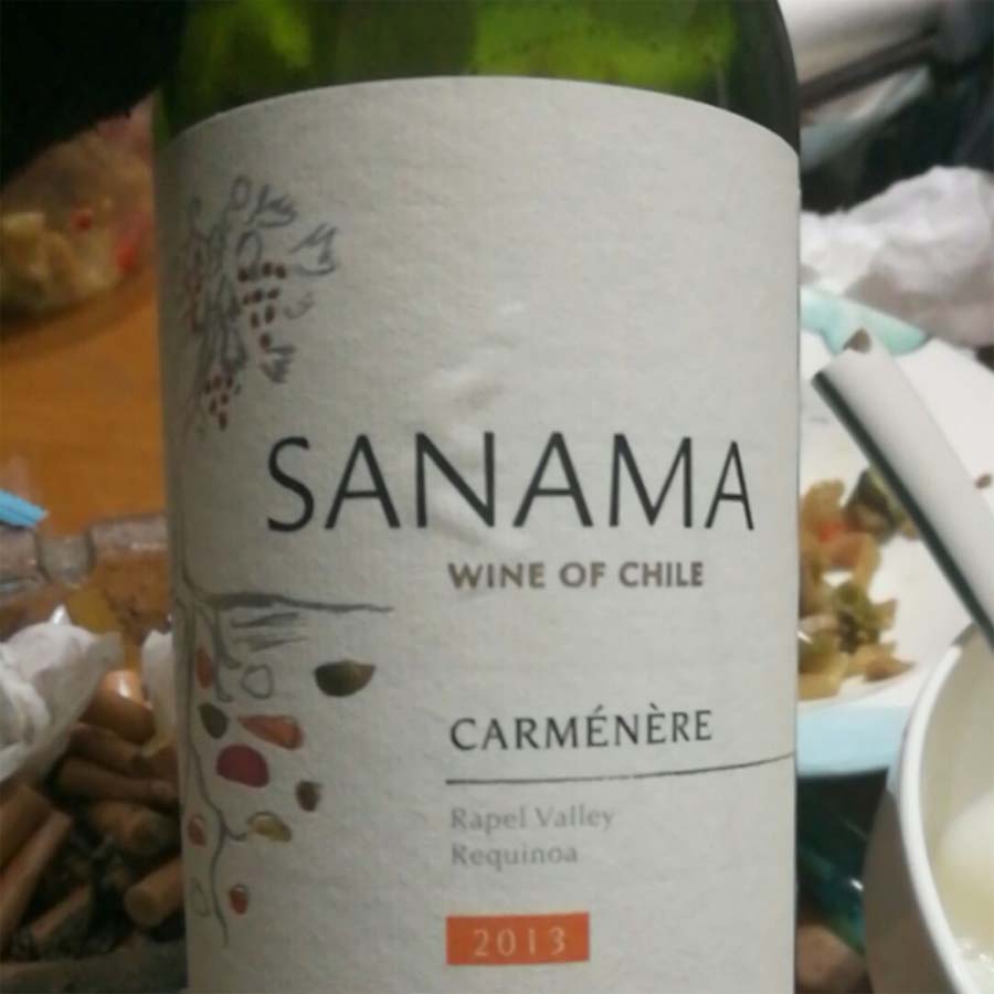 Rượu vang Chile Sanama Carmenere