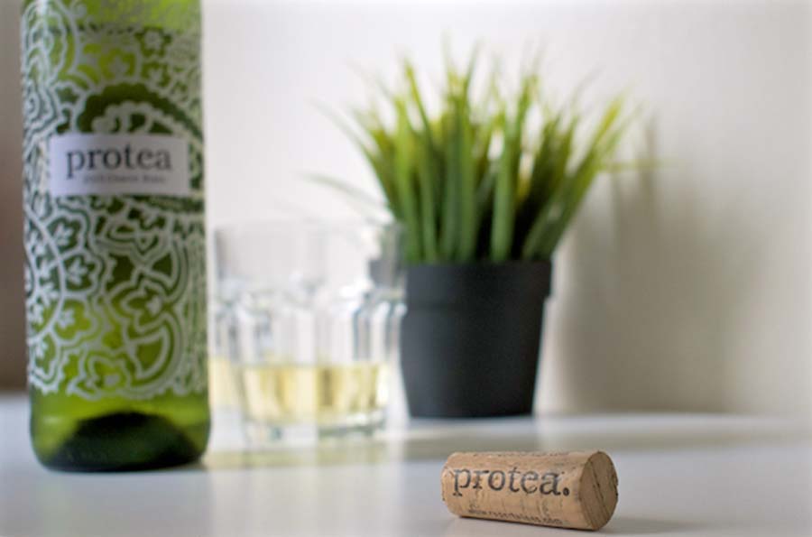 Rượu vang Nam Phi Protea Chenin Blanc