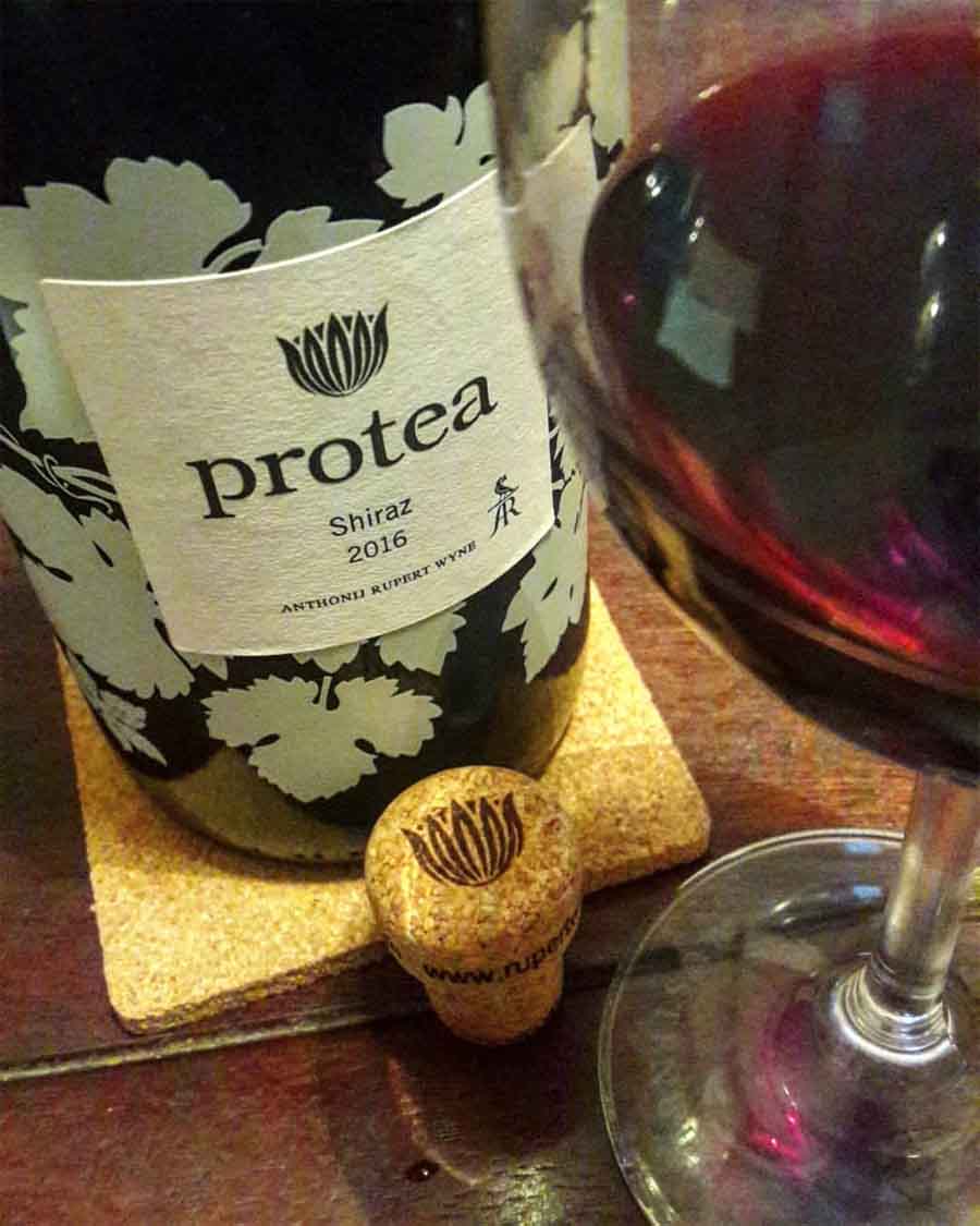 Rượu vang Nam Phi Protea Shiraz