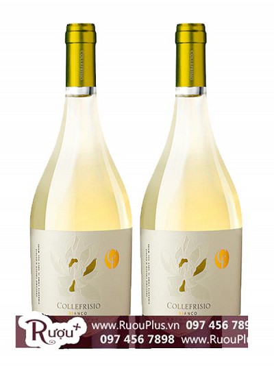 Rượu Vang Collefrisio Bianco
