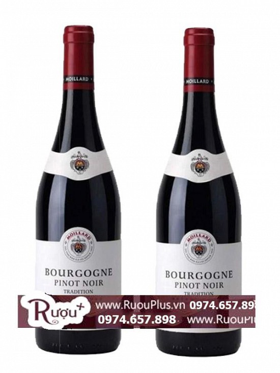 Rượu Vang Pháp Bourgogne Pinot Noir Moillard