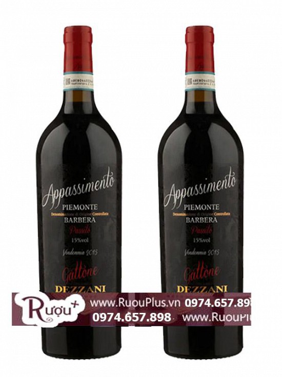 Rượu Vang Appassimento Gattone Dezzani Barbera Piemonte