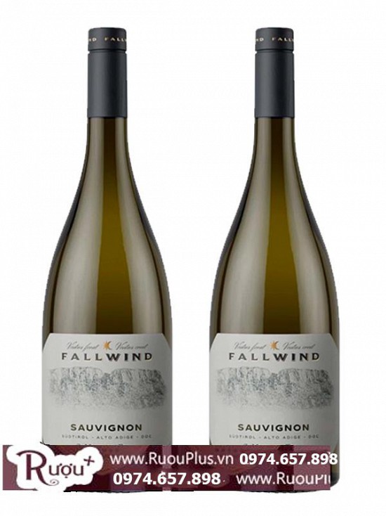 Rượu Vang Fallwind Sauvignon Blanc