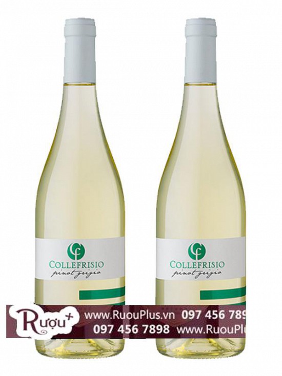 Rượu Vang Collefrisio Pinot Grigio