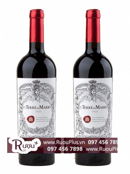 Rượu vang Terre Di Mario Vino Rosso 17%