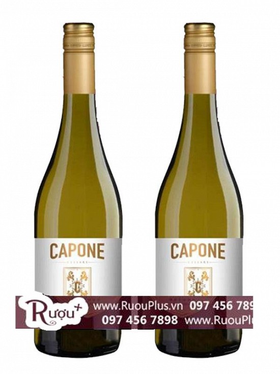 Rượu Vang Chile Capone Reserve Chardonnay