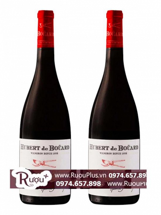 Rượu vang Pháp Hubert De Bouard Red