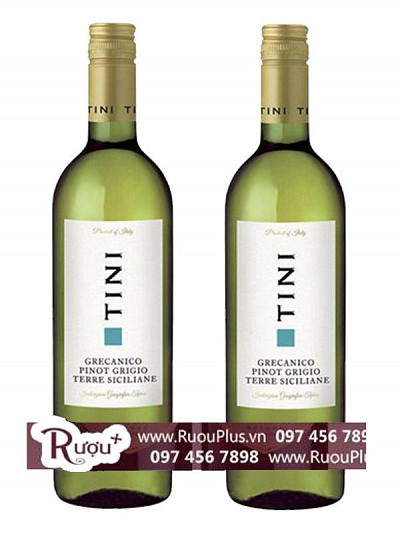 Rượu Vang Tini Pinot Grigio Delle Venezie