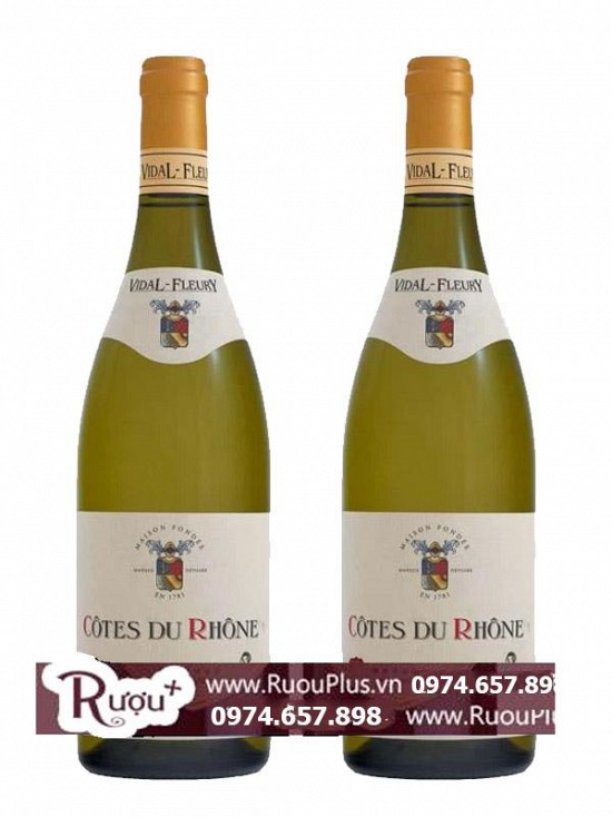 Rượu vang Chateauneuf Du Pape Vidal Fleury Blanc