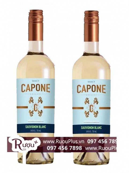 Rượu Vang Chile Capone Selected Sauvignon Blanc