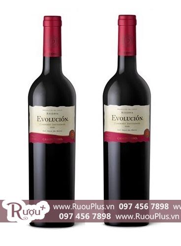 Rượu vang Chile Casa Donoso Evolucion Cabernet Sauvignon Reserva