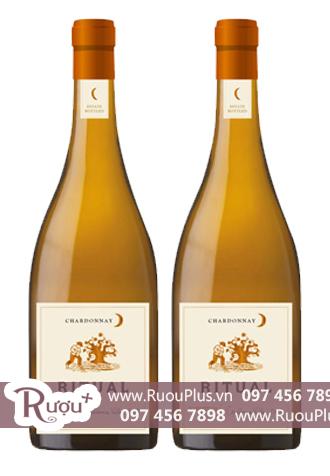 Rượu vang Chile Ritual Chardonnay