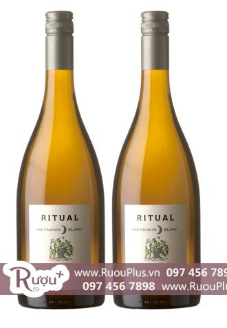 Rượu vang Chile Ritual Sauvignon Blanc