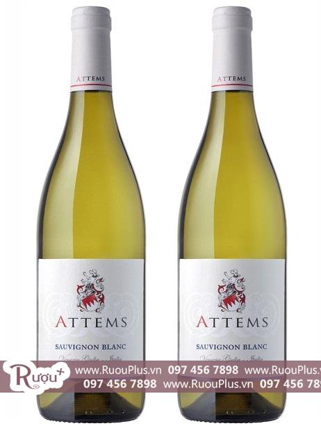 Rươu vang Ý Attems Sauvignon Blanc