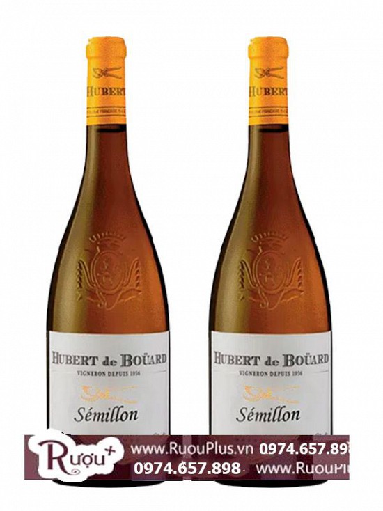 Rượu vang Pháp Hubert De Bouard Semillon