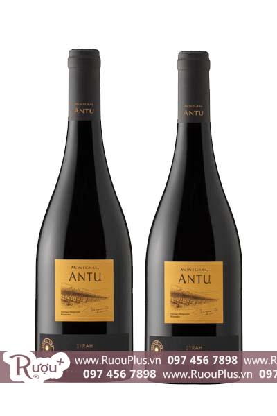 Rượu vang Chile Antu Shiraz