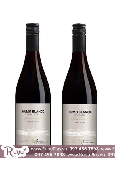 Rượu vang Chile Pinot Noir Humo Blanco