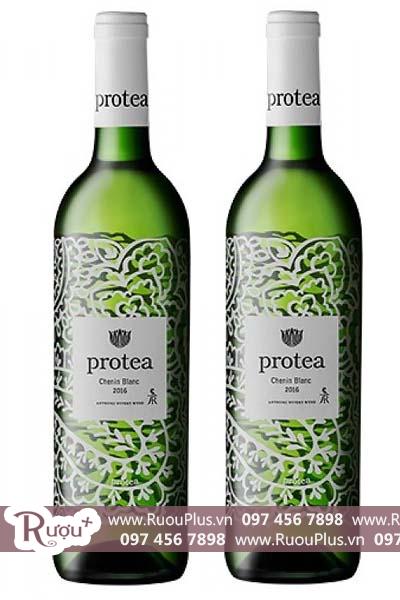 Rượu vang Nam Phi Protea Chenin Blanc