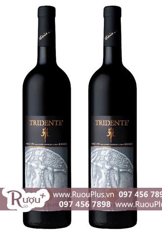 Rượu vang Ý Tridente Salento Rosso