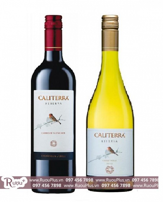 Rượu vang Chile Caliterra Reserva