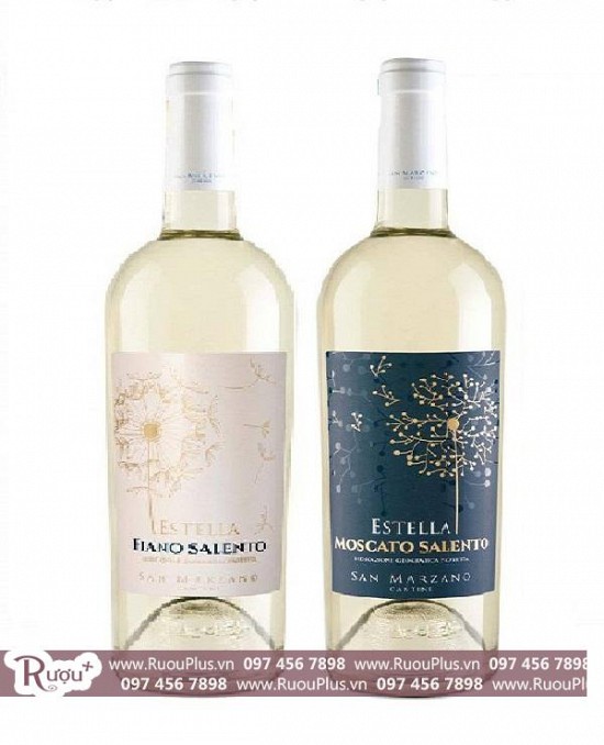 Rượu vang Ý Estella