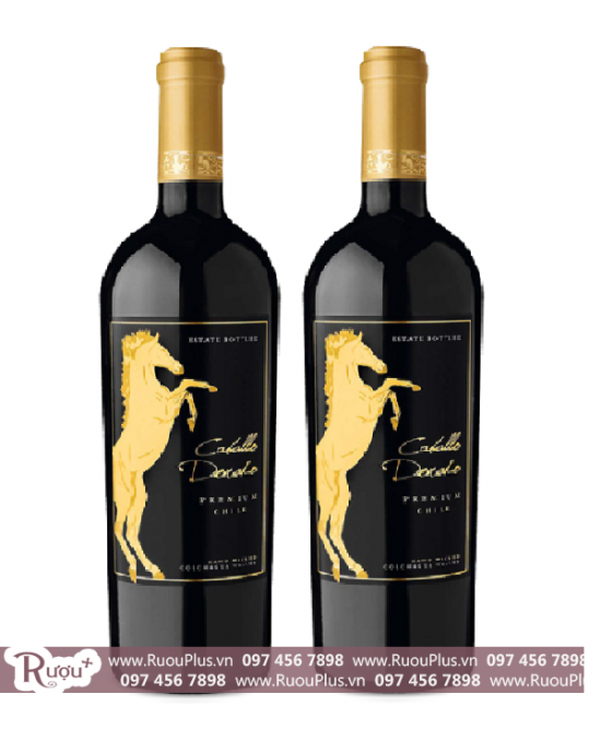 Rượu vang Caballo dorado Premium Chile - Rượu ngựa vàng