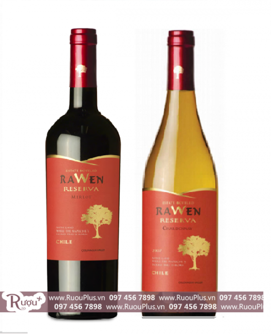 Rượu vang Chile Rawen Reserva