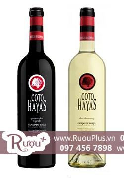 Rượu vang Coto de Hayas Tinto