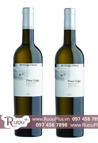Rượu vang Bottega Vinai Trentino pinot grigio giá rẻ