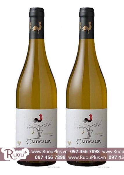 Rượu vang Chile Cantoalba 2015 Rượu vang trắng