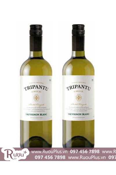 Rượu vang Chile Tripantu Sauvignon Blanc