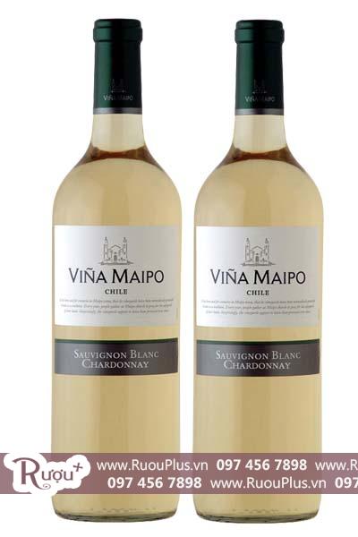 Rượu vang Chile Vina Maipo Chardonnay Sauvignon